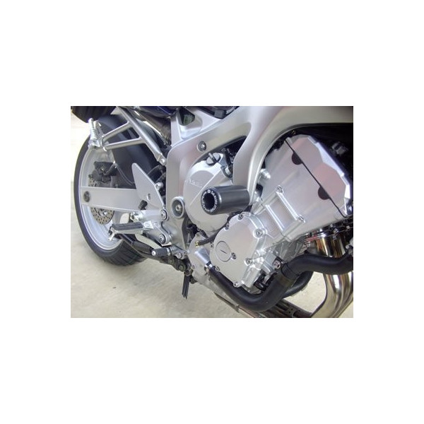 R&G FZS 600 MUSHROOMS